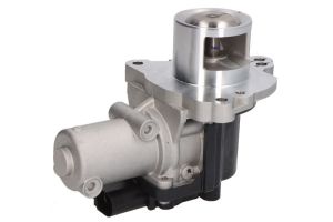 Zawór EGR 7.09002.17.0