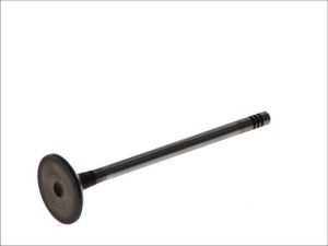 Zawór ssący 6161/SCR