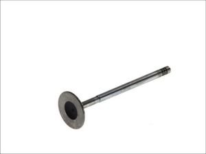 Zawór ssący 6195/SCR