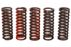 Zestaw sprężyn sprzęgła MEF321-5