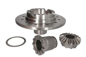 Zestaw naprawczy mechanizmu różnicowego 298562