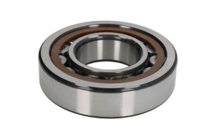 Łożysko mechanizmu różnicowego 98170348