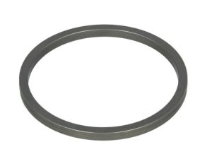 Element blokujący synchronizatora 60531999