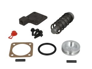 Zestaw naprawczy mechanizmu różnicowego MER E508.M
