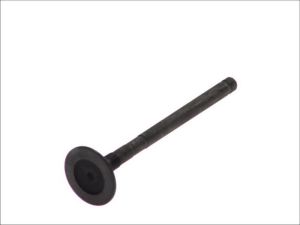 Zawór wydechowy 6124/RNT