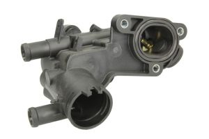 Korpus termostatu D2W009TT