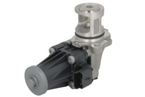 Zawór EGR 7.02209.11.0