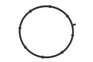 Uszczelka pompy cieczy chłodzącej 320-04501-AN