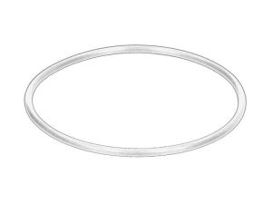 Uszczelka pompy podciśnieniowej 455605