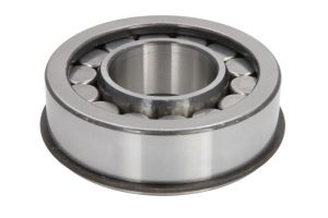 Łożysko wałka mechanizmu różnicowego 5.30138