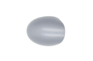 Osłona lusterka zewnętrznego 6103-09-2002218P