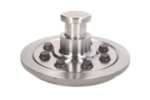 Sworzeń królewski KZ 1010