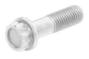 Śruba tarczy dociskowej N   101 010 01