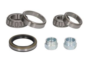 Zestaw łożyska koła R170.12