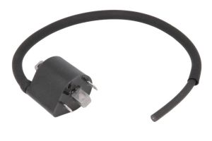 Cewka zapłonowa IGN-310