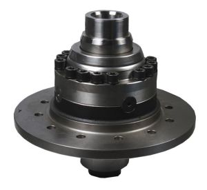 Zestaw naprawczy mechanizmu różnicowego 74171187