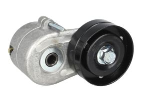 Napinacz paska wieloklinowego DAYAPV2669