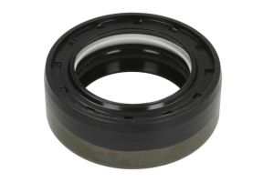 Zestaw naprawczy mechanizmu różnicowego 426075-CR