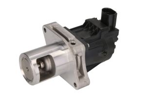 Zawór EGR 7.24809.81.0
