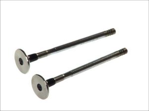 Zawór wydechowy 6196/RCR