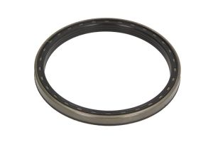 Uszczelniacz piasty koła CO12019930B