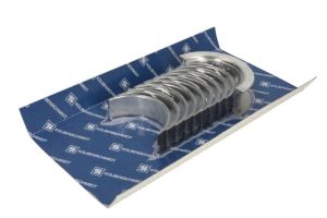 Zestaw panewek wału korbowego 77 800 610