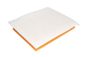 Filtr powietrza B2X065PR
