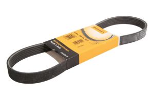 Pasek wieloklinowy 6 PK 799 ELAST