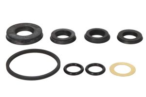 Zestaw naprawczy pompy hamulcowej D1-748