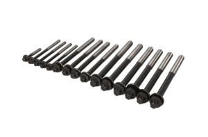 Zestaw śrub głowicy cylindrów AMC258546