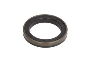 Uszczelniacz piasty koła CO12018598B