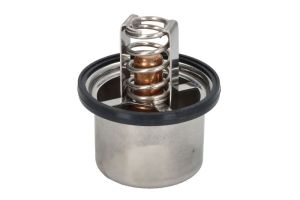 Termostat środka chłodzącego 5.41096