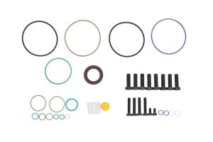 Zestaw naprawczy pompy paliwa ENT210019