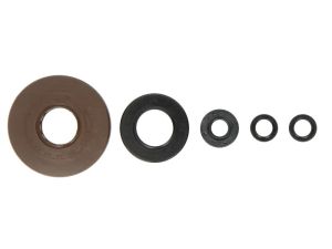 Komplet uszczelniaczy silnika P400210400272