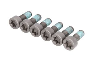 Zestaw śrub koła zamachowego 411 0260 10