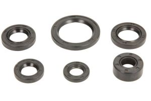 Komplet uszczelniaczy silnika IP000277