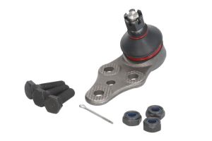 Sworzeń wahacza J10000YMT