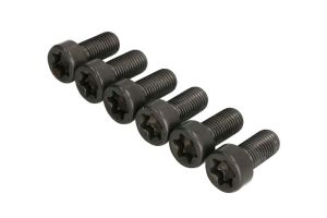Zestaw śrub koła zamachowego 411 0256 10