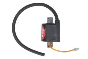 Cewka zapłonowa IGN-425