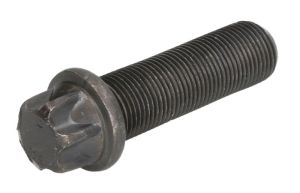 Śruba, tarcza hamulcowa FE32206
