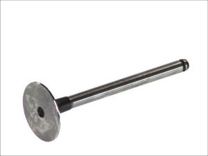 Zawór ssący 4221/S