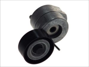 Napinacz paska wieloklinowego 534 0053 10