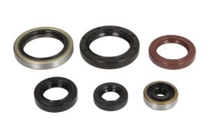 Komplet uszczelniaczy silnika P400270400077