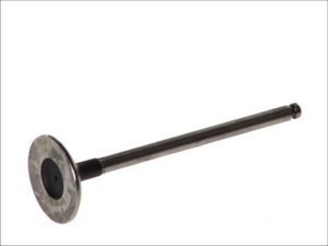 Zawór ssący 6113/S