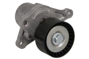 Napinacz paska wieloklinowego E3R0008BTA