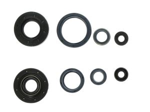 Kompletny zestaw uszczelek silnika P400220400251