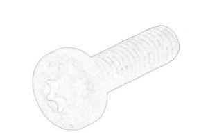 Śruba N   101 243 06