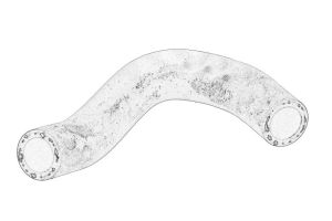 Przewód układu chłodzenia 55596898