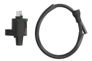 Cewka zapłonowa DZE04019