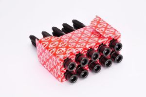 Zestaw śrub głowicy cylindrów EL819840